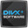 DivX Icon
