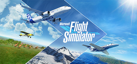 Microsoft Flight Simulator Icon