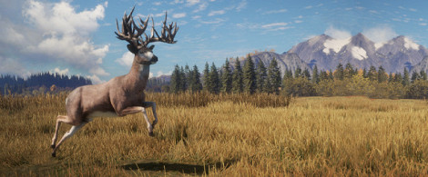 tHCOTW realistic hunting game