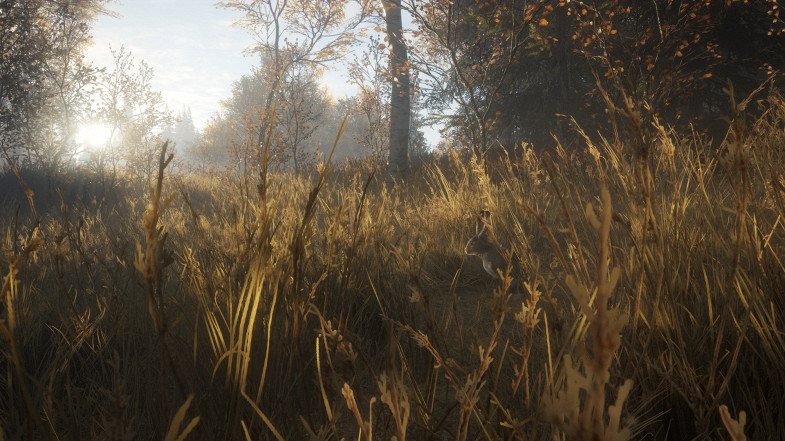 theHunter: Call of the Wild™  Featured Image