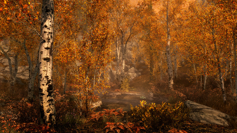 The Elder Scrolls V: Skyrim Special Edition  Featured Image