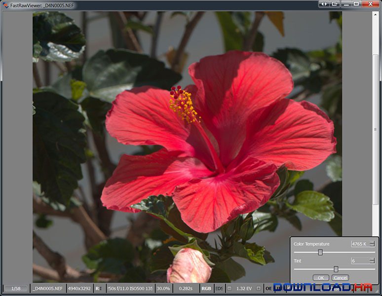 FastRawViewer 1.5.5.1597 1.5.5.1597 Featured Image