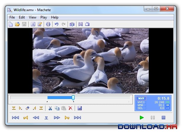 Machete Lite 5.0.55 5.0.55 Featured Image